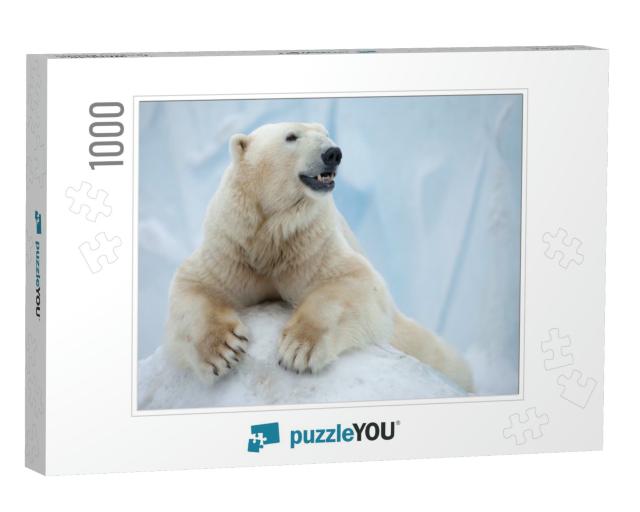 Portrait of Large White Bear on Ice... Jigsaw Puzzle with 1000 pieces