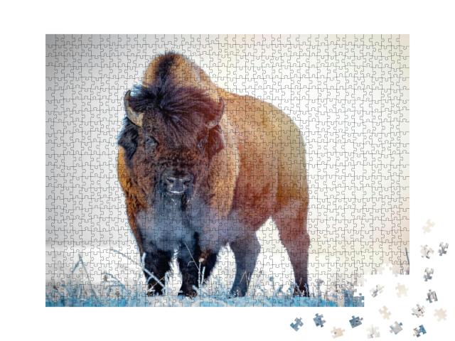 Prairie Bison in a Frosty Winter Morning... Jigsaw Puzzle with 1000 pieces