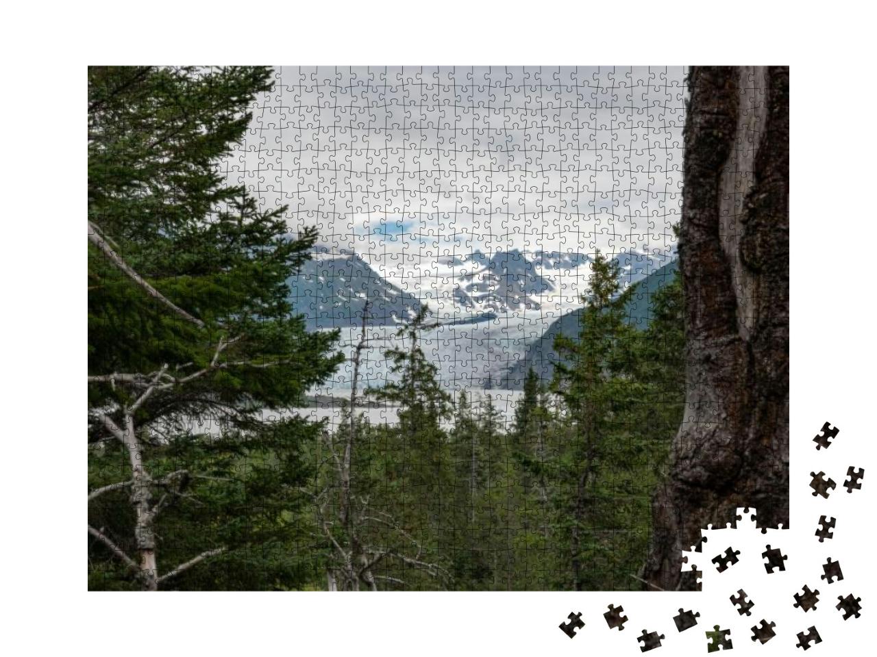 Hiking in Kenai Fjords National Park in Alaska... Jigsaw Puzzle with 1000 pieces