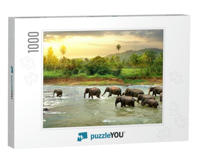 Elephants in River... Jigsaw Puzzle with 1000 pieces