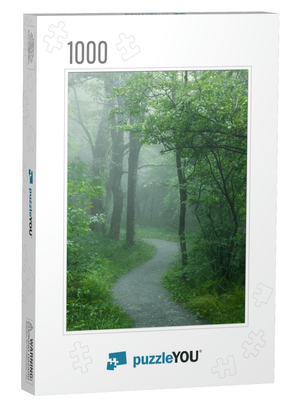 Foggy Hiking Trail in Shenandoah National Park Shortly Af... Jigsaw Puzzle with 1000 pieces