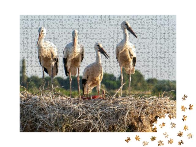 Storks & Sparrows in the Storks Nest Landscape... Jigsaw Puzzle with 1000 pieces