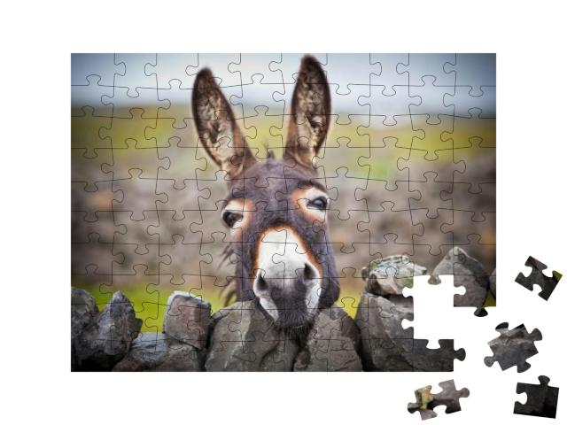 A Nice Donkey Under the Rain. Aran Islands, Ireland... Jigsaw Puzzle with 100 pieces
