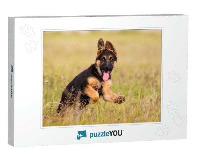 German Shepherd Puppy Runs on the Grass... Jigsaw Puzzle