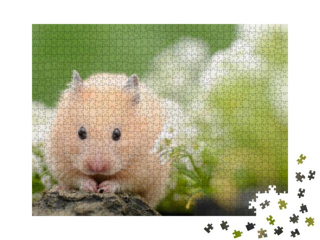 Golden Hamster in Flower Garden... Jigsaw Puzzle with 1000 pieces