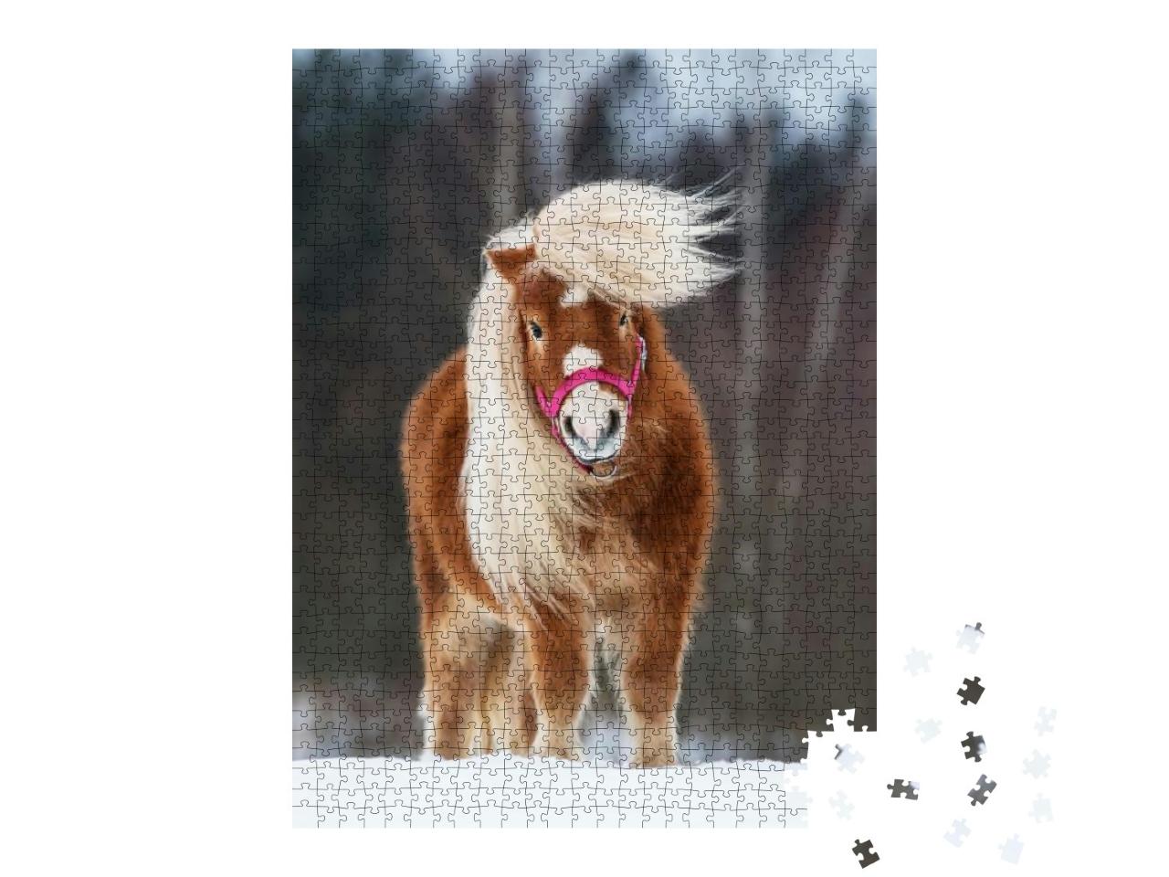 Beautiful Miniature Shetland Breed Pony Stallion with Lon... Jigsaw Puzzle with 1000 pieces