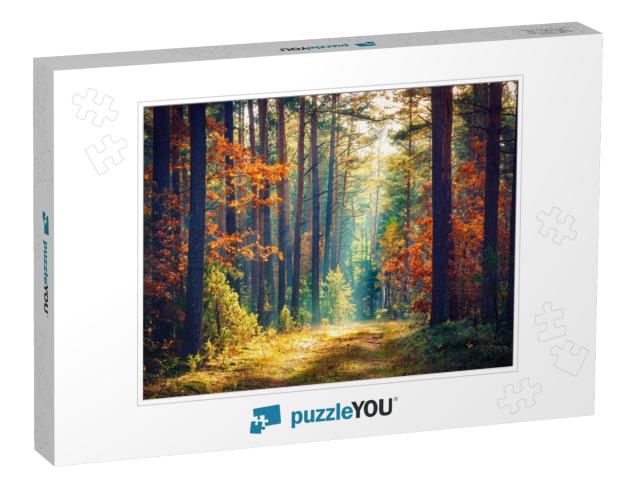 Autumn Forest Nature. Vivid Morning in Colorful Forest wi... Jigsaw Puzzle