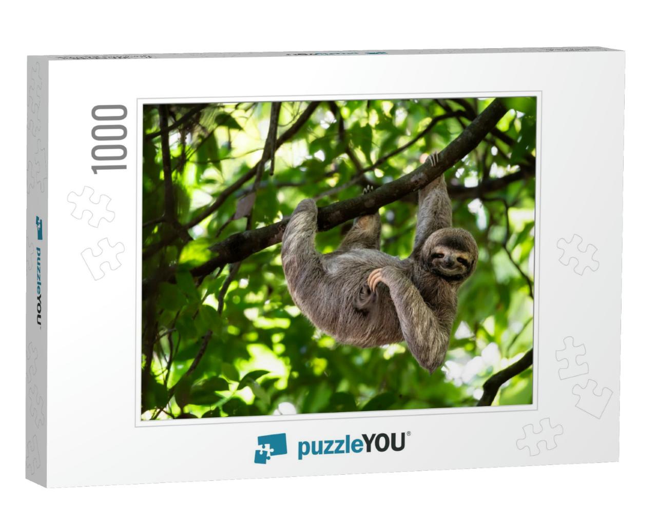 Cute Sloth Hanging on Tree Branch with Funny Face Look, P... Jigsaw Puzzle with 1000 pieces