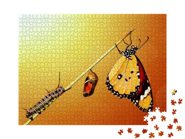 Amazing Moment, Monarch Butterfly, Pupae & Cocoons Are Su... Jigsaw Puzzle with 1000 pieces