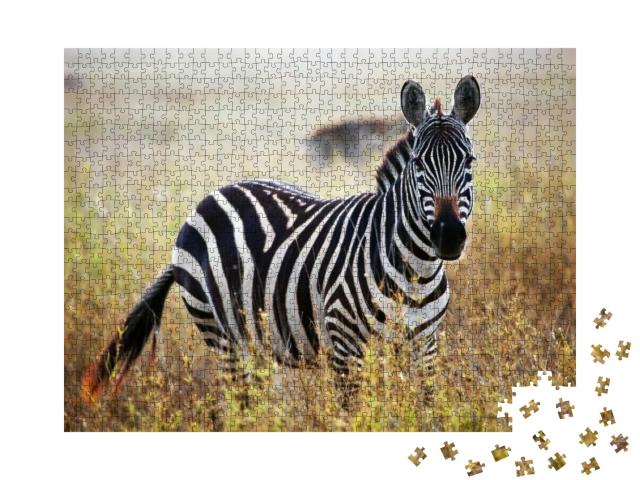 Zebra Portrait on African Savanna. Safari in Serengeti, T... Jigsaw Puzzle with 1000 pieces
