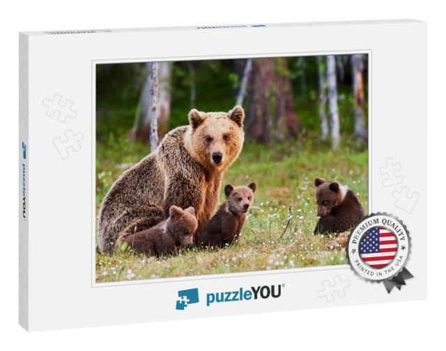 Brown Mother Bear Protecting Her Cubs in a Finnish Forest... Jigsaw Puzzle
