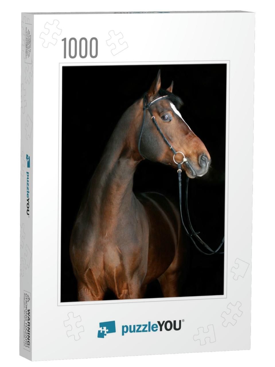 Bay Horse on Black... Jigsaw Puzzle with 1000 pieces