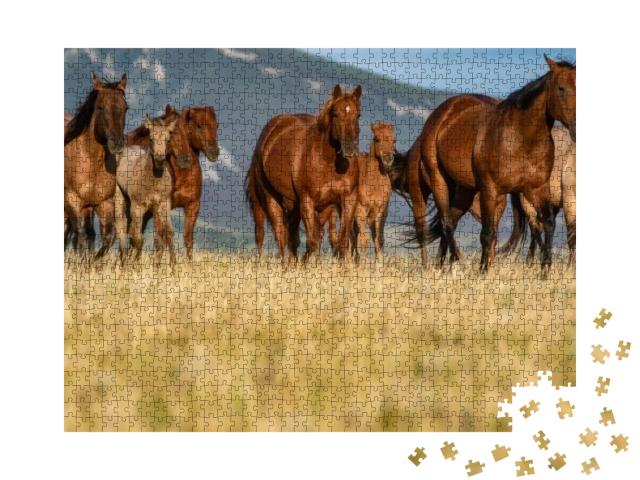 Colorful Herd of American Quarter Horses Mares, Foals & S... Jigsaw Puzzle with 1000 pieces
