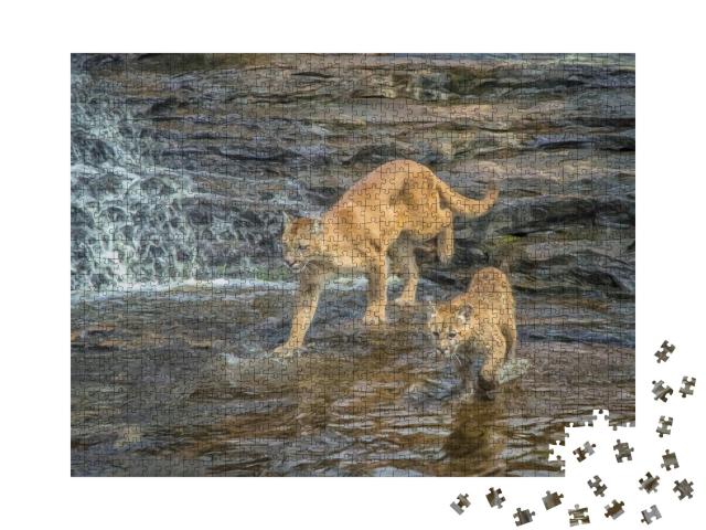 Cougar & Kit Crossing Minnesota River, Digital O... Jigsaw Puzzle with 1000 pieces