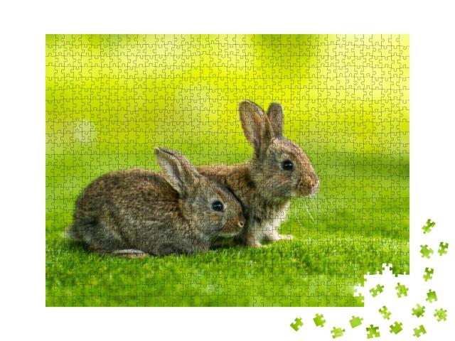 Rabbits. Cute Little Easter Bunny in the Meadow. Green Gr... Jigsaw Puzzle with 1000 pieces