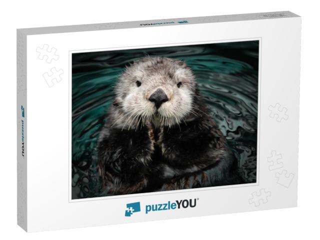 Sea Otter Posing in the Water... Jigsaw Puzzle