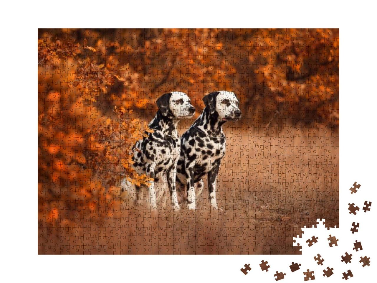 Two Dalmatian Dogs on a Walk... Jigsaw Puzzle with 1000 pieces