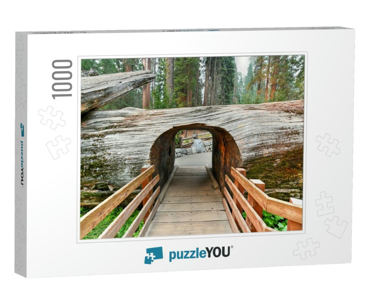 Entrance to Grove with Giant Sequoia Trees, General Sherm... Jigsaw Puzzle with 1000 pieces