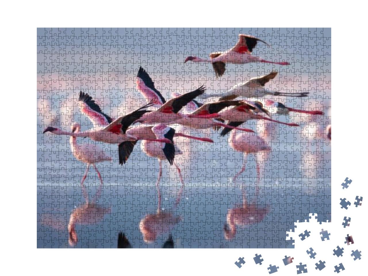 Flying Flamingo in Lake Nakuru, Kenya... Jigsaw Puzzle with 1000 pieces