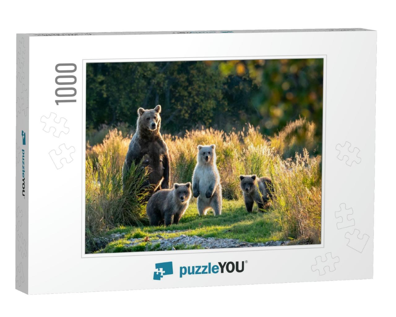 Large Adult Female Alaskan Brown Bear with Three Cute Cub... Jigsaw Puzzle with 1000 pieces