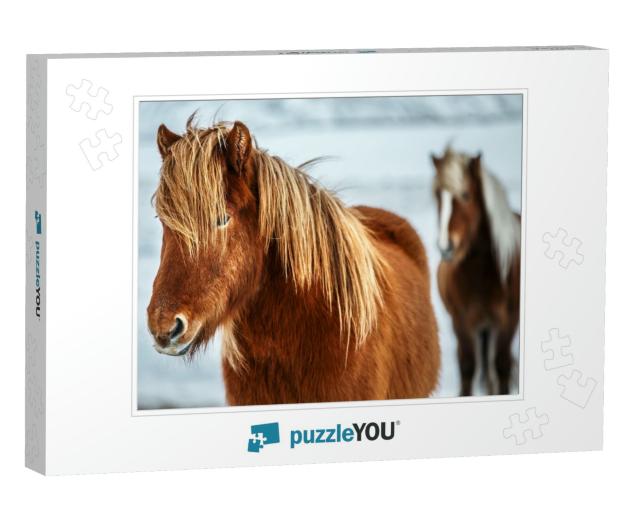 Portrait of a Beautiful Icelandic Horses, Pair of a Gorge... Jigsaw Puzzle