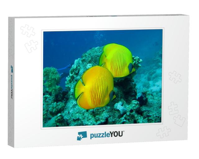 Beautiful & Diverse Coral Reef with Fishes of the Red Sea... Jigsaw Puzzle