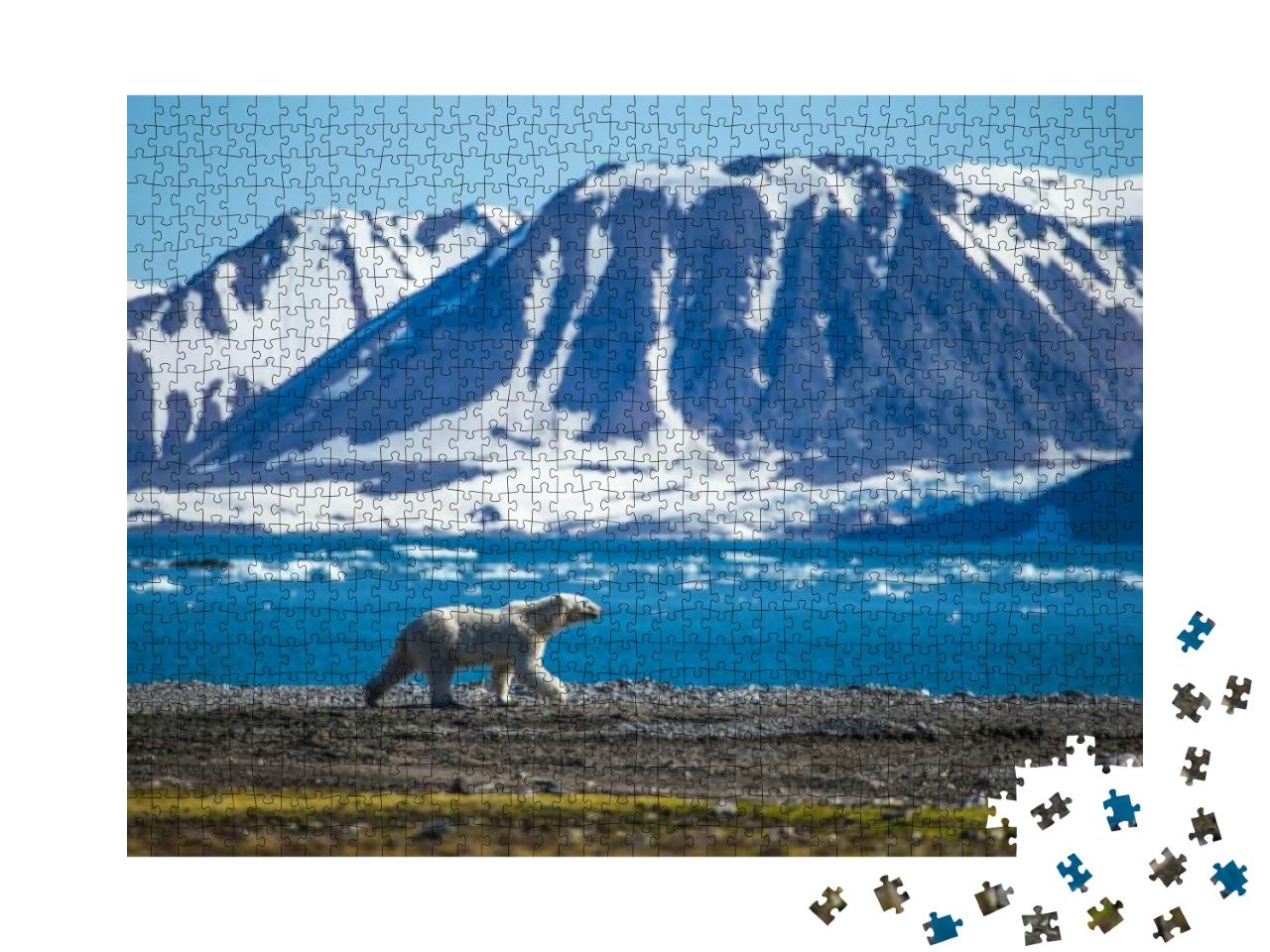 Polar Bear in South Spitsbergen... Jigsaw Puzzle with 1000 pieces