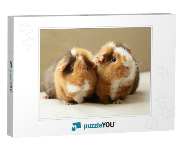 Cute Guinea Pigs... Jigsaw Puzzle