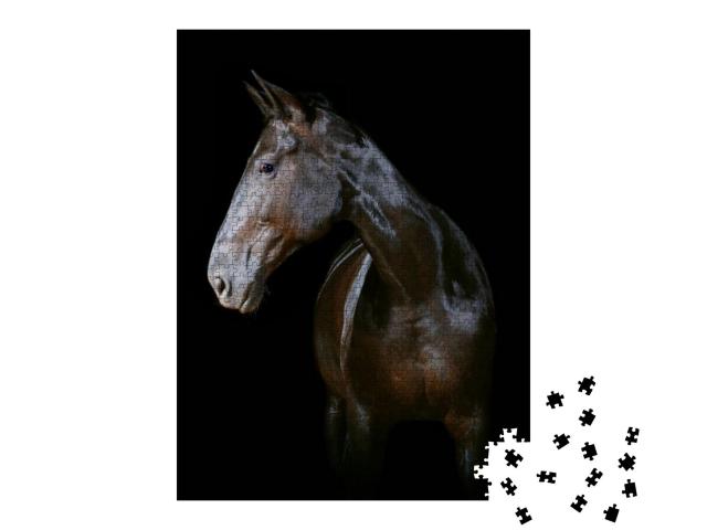 Horse Isolated on Black... Jigsaw Puzzle with 1000 pieces