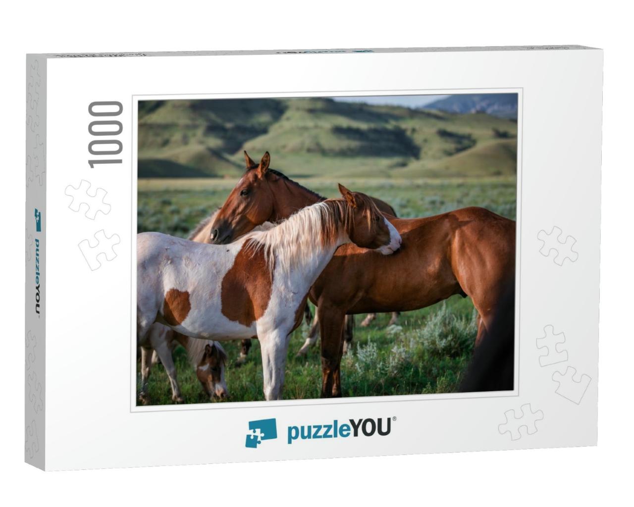 Paint Pony & Ranch Horse Friend on the Range in Montana... Jigsaw Puzzle with 1000 pieces