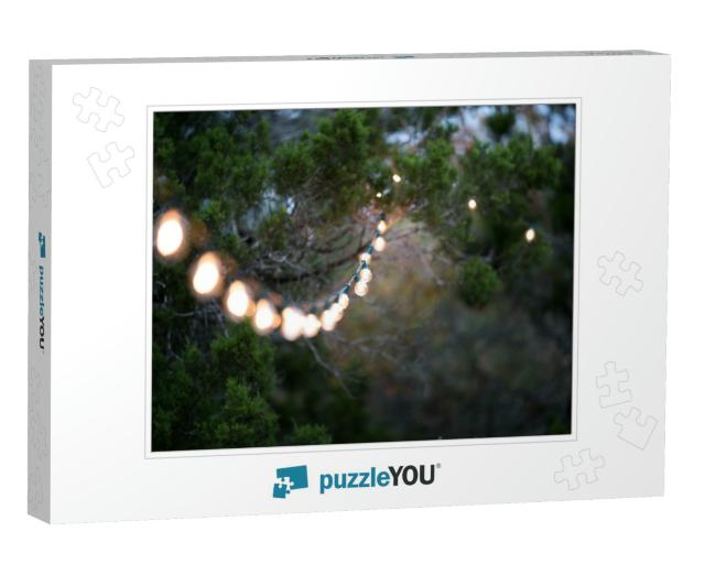 Decorative Outdoor Clear Lights Strung in Trees Going Out... Jigsaw Puzzle