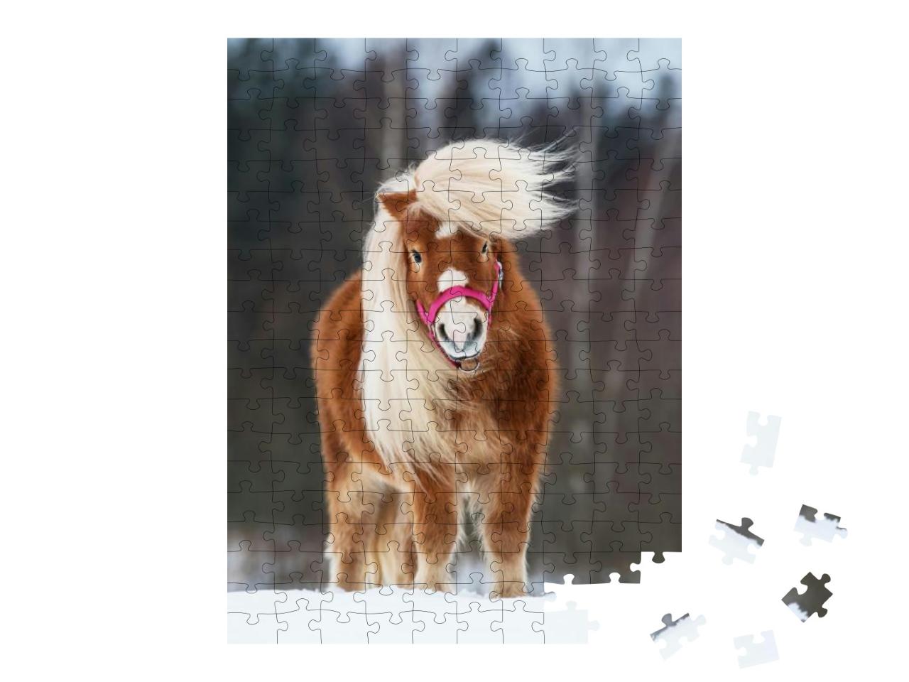 Beautiful Miniature Shetland Breed Pony Stallion with Lon... Jigsaw Puzzle with 200 pieces