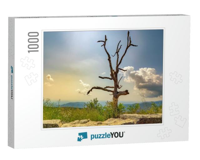 Dead Tree Along the Skyline Drive National Park. the Skyl... Jigsaw Puzzle with 1000 pieces