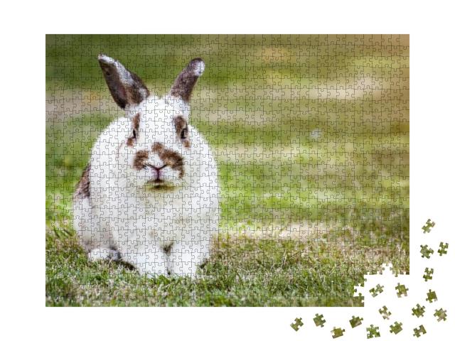 Nd Rabbit or Cute Bunny on Green Grass... Jigsaw Puzzle with 1000 pieces