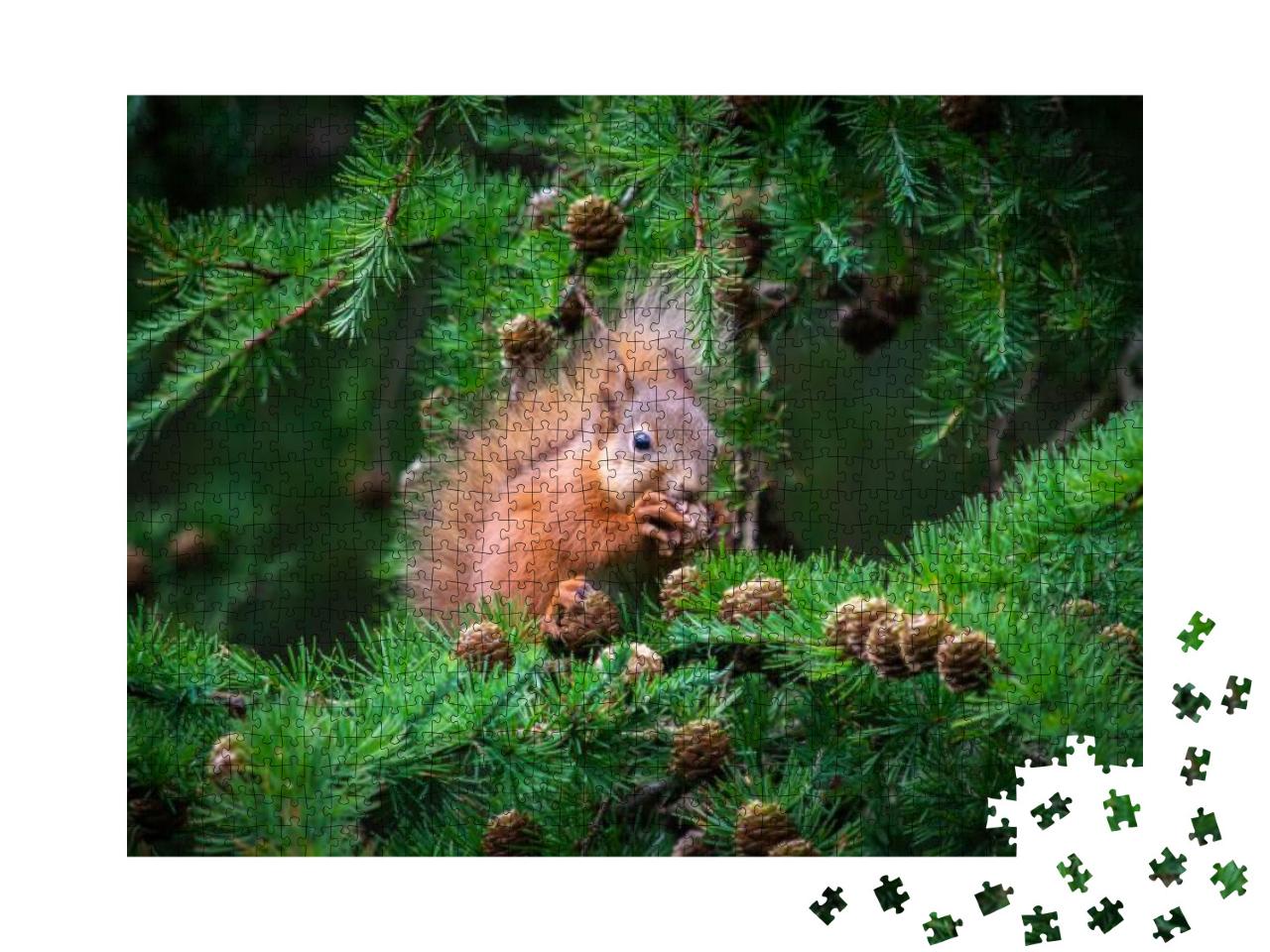 The Little Squirrel Feasting High Up in a Tree... Jigsaw Puzzle with 1000 pieces