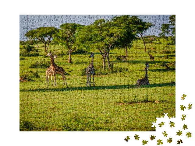 Pictorial Views of Nature & Wildlife Taken from Murchison... Jigsaw Puzzle with 1000 pieces