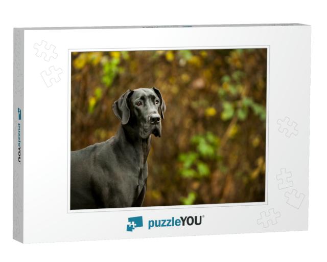 Great Dane Standing in Front of Vegetation... Jigsaw Puzzle
