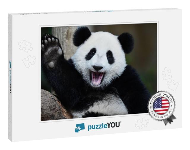 A Playful Happy Panda in China... Jigsaw Puzzle