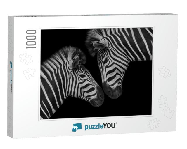 Beautiful Two Couple Zebra Closeup Face... Jigsaw Puzzle with 1000 pieces