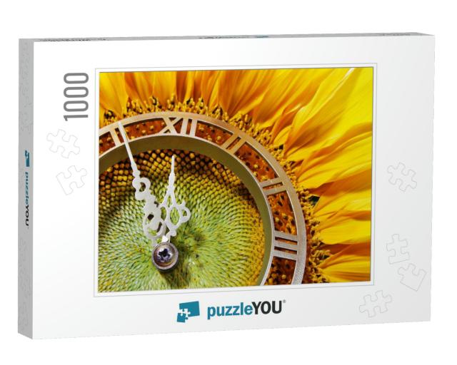 Sunflower-Clock Indicative on Approach of Noontime... Jigsaw Puzzle with 1000 pieces