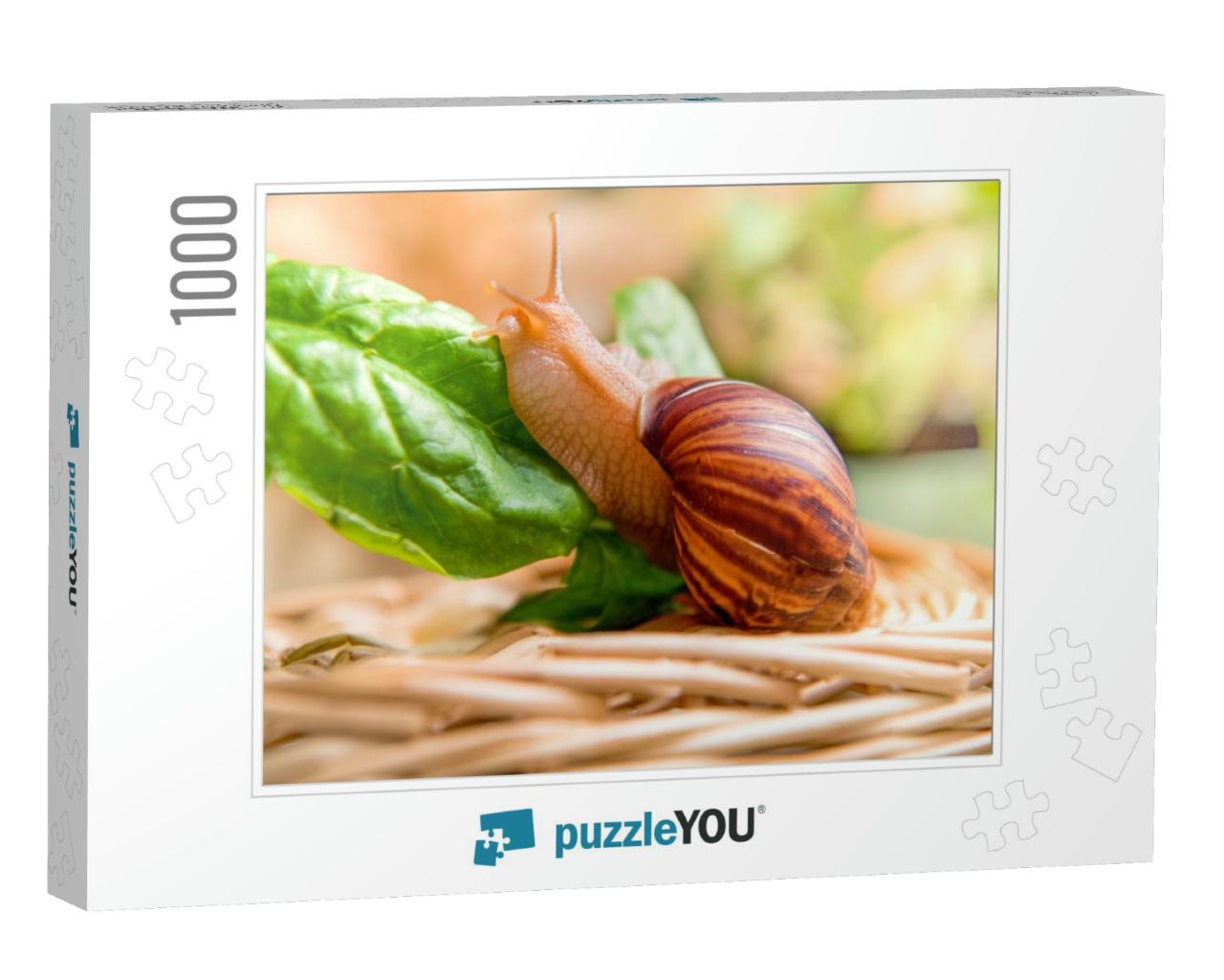 Snail on a Green Leaf. Close-Up. Copy Space... Jigsaw Puzzle with 1000 pieces