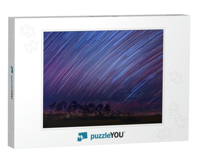 Star Trails Shooting Stars At Everglades National Park by... Jigsaw Puzzle