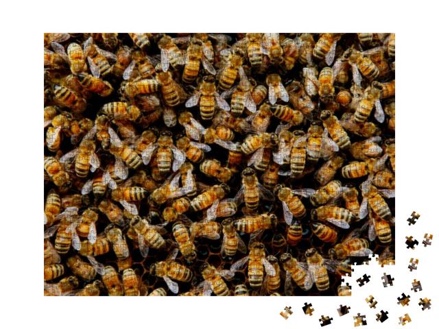 Swarming Bee Colony Congregating Around Their Queen... Jigsaw Puzzle with 1000 pieces