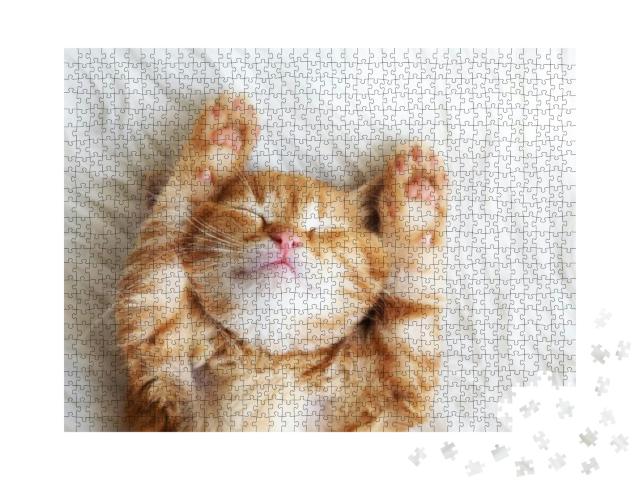 Cute Little Red Kitten Sleeps on Fur White Blanket... Jigsaw Puzzle with 1000 pieces