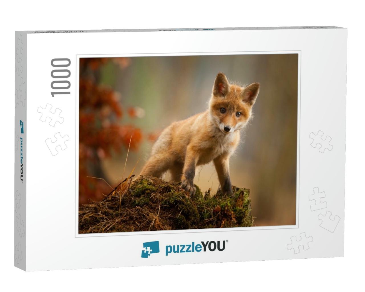 A Young Fox Shot in a Forest... Jigsaw Puzzle with 1000 pieces