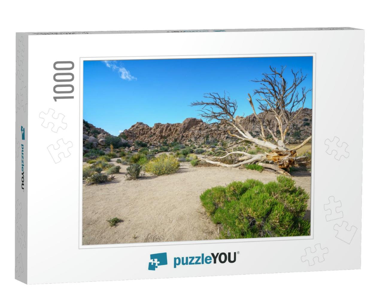 Hiking the Hidden Valley Trail in Joshua Tree National Pa... Jigsaw Puzzle with 1000 pieces