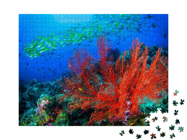 Underwater Coral Fish Shoal View. Coral Fishes Underwater... Jigsaw Puzzle with 1000 pieces