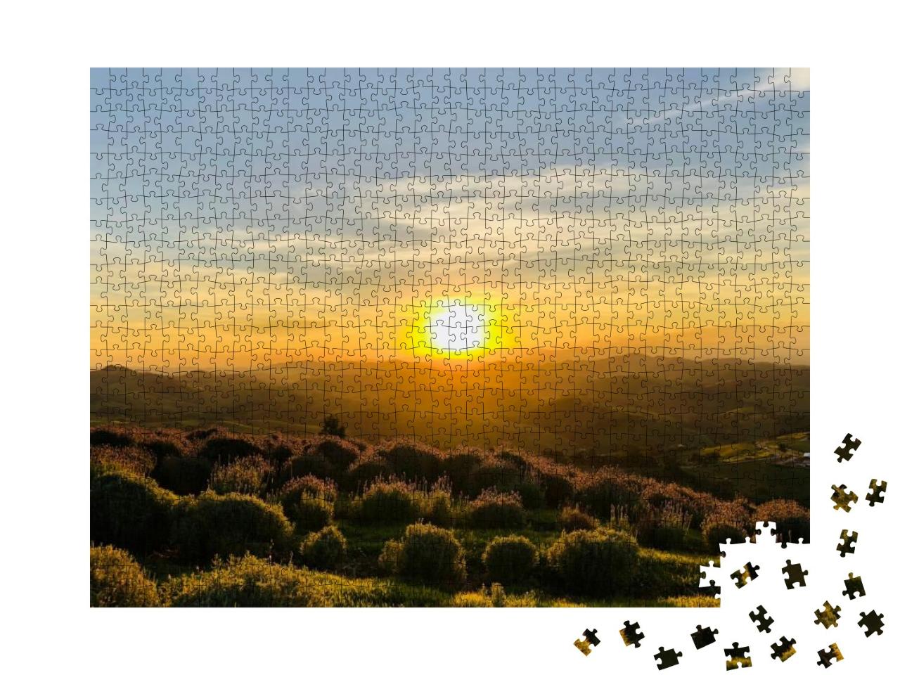 Beautiful Sunset from Lavender Fields... Jigsaw Puzzle with 1000 pieces
