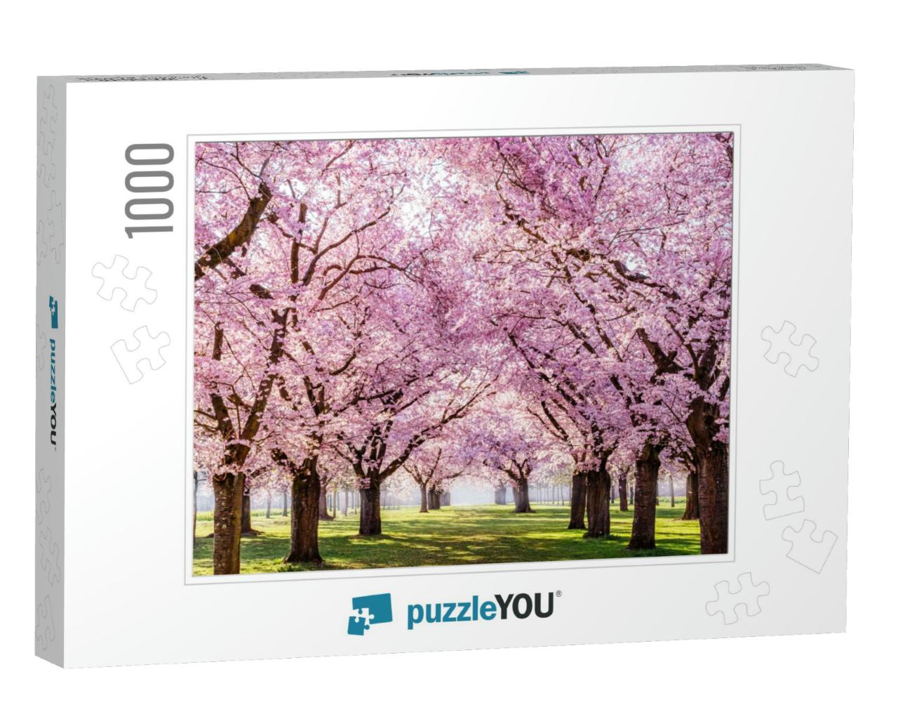 Sakura Cherry Blossoming Alley. Wonderful Scenic Park wit... Jigsaw Puzzle with 1000 pieces