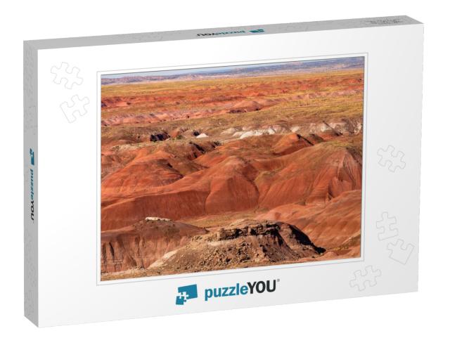 Petrified Forest National Park is in Northeastern Arizona... Jigsaw Puzzle